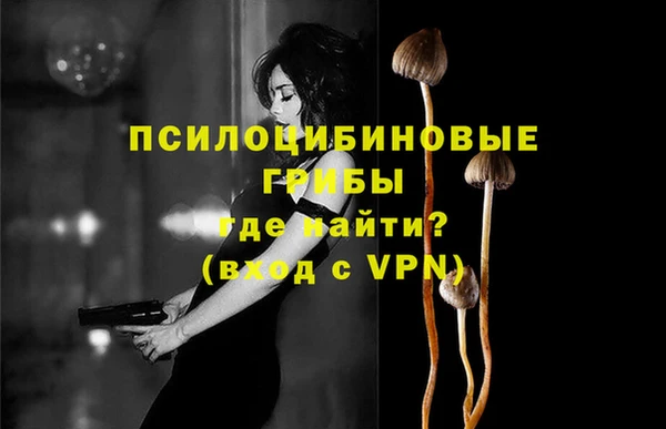 ПСИЛОЦИБИНОВЫЕ ГРИБЫ Белоозёрский