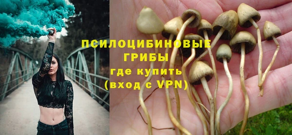 винт Белокуриха