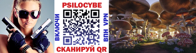 Купить закладки  Володарск  Псилоцибиновые грибы мухоморы 